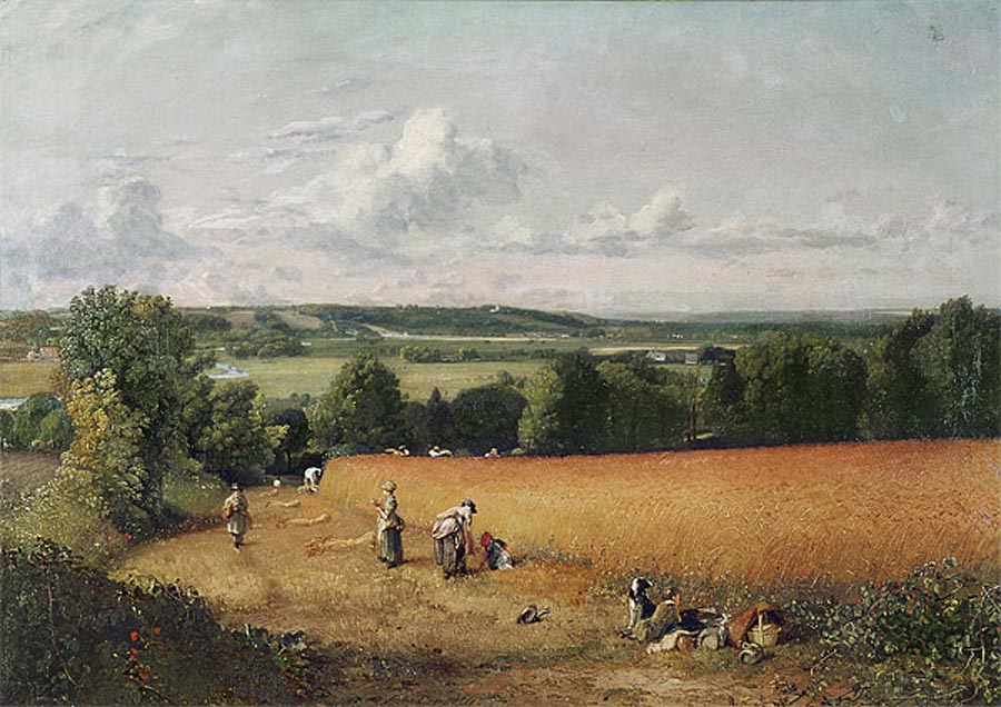 John Constable The Wheatfield